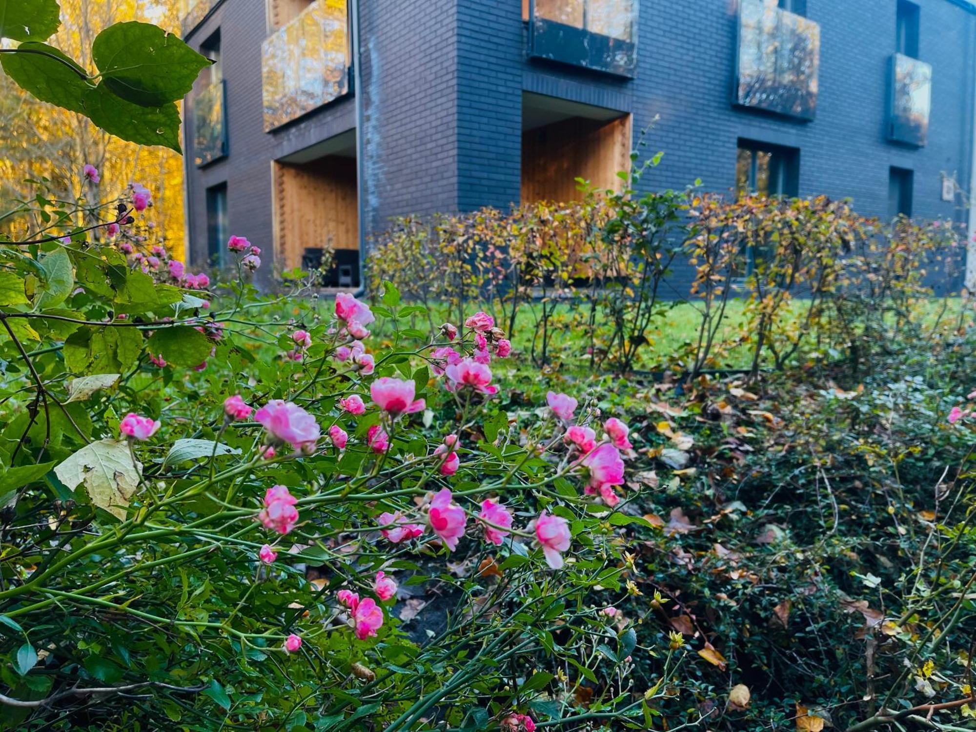 Apartament Magia Puszczy Z Widokiem Na Puszcze Bialowieska ฮายนูฟกา ภายนอก รูปภาพ